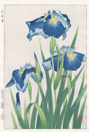 Shodo Kawarazaki Iris - Panteek Antique Prints