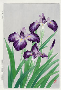 Shodo Kawarazaki Iris Purple - Panteek Antique Prints