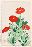 Shodo Kawarazaki Marigold - Panteek Antique Prints