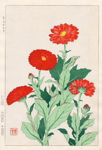 Shodo Kawarazaki Marigold - Panteek Antique Prints