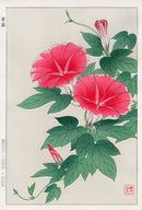 Shodo Kawarazaki Morning Glory Red - Panteek Antique Prints