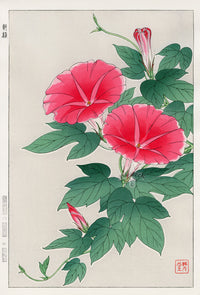 Shodo Kawarazaki Morning Glory Red - Panteek Antique Prints
