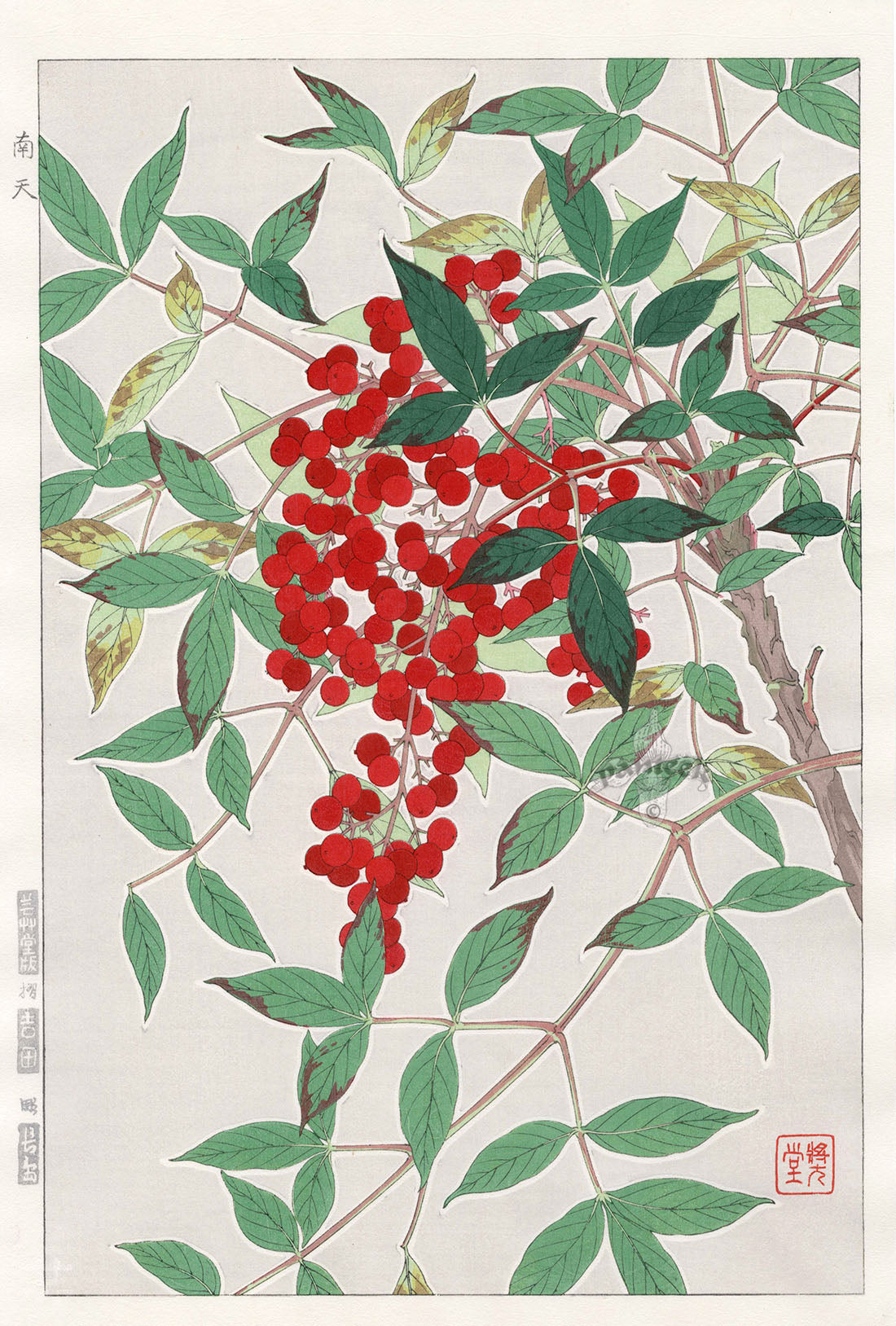 Shodo Kawarazaki Nandina
