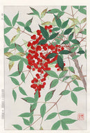Shodo Kawarazaki Nandina - Panteek Antique Prints