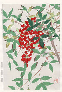 Shodo Kawarazaki Nandina - Panteek Antique Prints