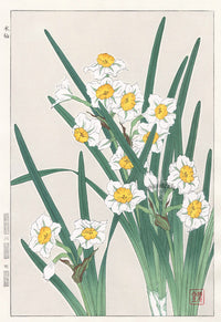 Shodo Kawarazaki Narcissus - Panteek Antique Prints