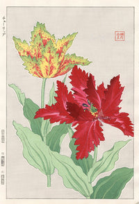 Shodo Kawarazaki Parrot Tulip - Panteek Antique Prints