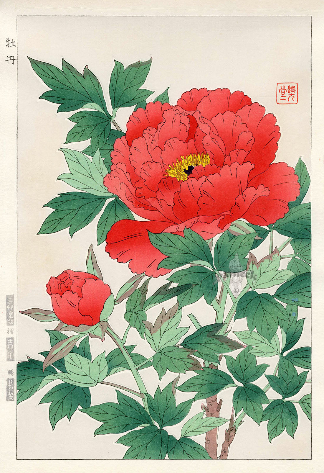 Shodo Kawarazaki Peony Red, Yellow