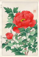 Shodo Kawarazaki Peony Red, Yellow - Panteek Antique Prints