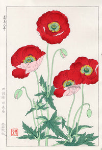 Shodo Kawarazaki Poppy Red - Panteek Antique Prints