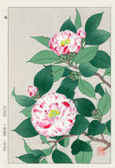 Shodo Kawarazaki Red, White Camellia - Panteek Antique Prints