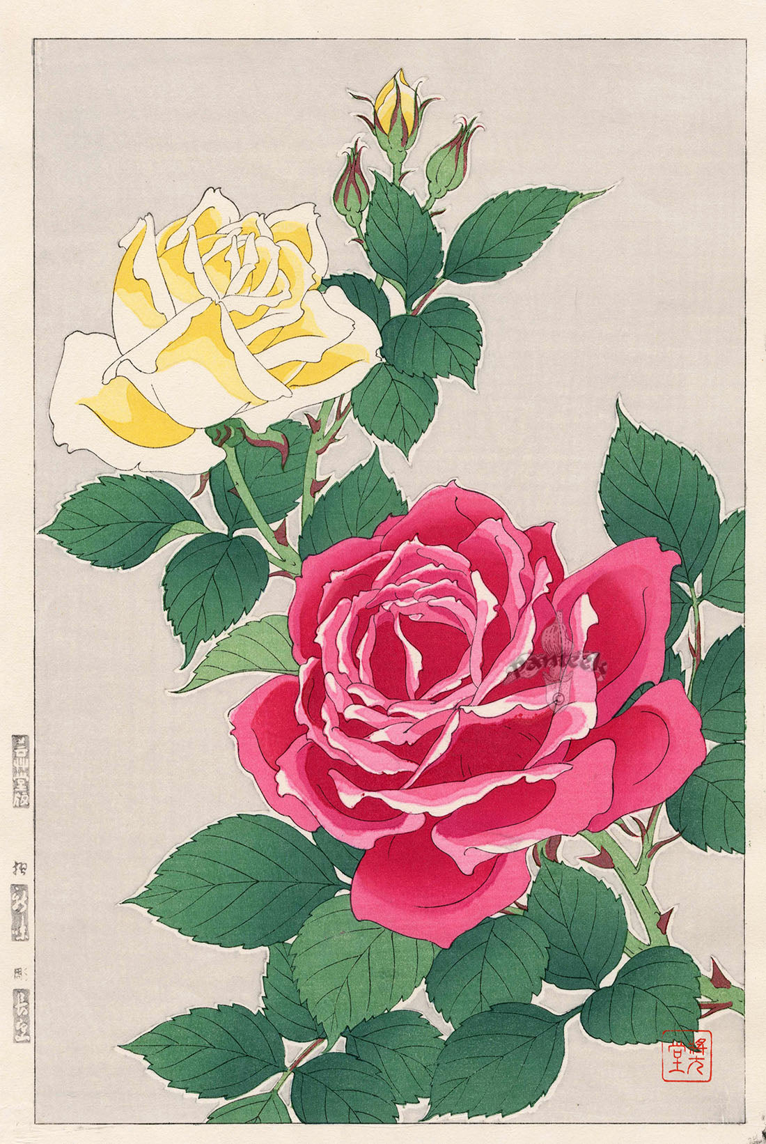 Shodo Kawarazaki Rose