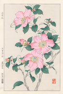 Shodo Kawarazaki Rose by Yuichi Osuga - Panteek Antique Prints