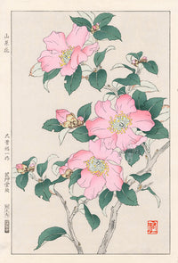 Shodo Kawarazaki Rose by Yuichi Osuga - Panteek Antique Prints