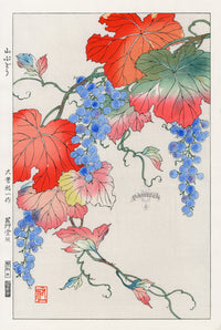Shodo Kawarazaki Wild Grapes - Panteek Antique Prints