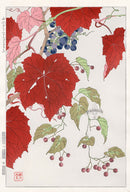 Shodo Kawarazaki Wild Grapes Red Leaves - Panteek Antique Prints