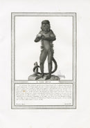 Storia Naturale 1812 Jacob Antique Prints Brown Saijou - Panteek Antique Prints