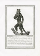 Storia Naturale 1812 Jacob Antique Prints Horned Monkey - Panteek Antique Prints