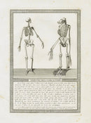 Storia Naturale 1812 Jacob Antique Prints Monkey Skeleton - Panteek Antique Prints
