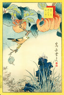 Sugakudo Nakayama Hokicho Bird, Apricot, Sekisho Grass - Panteek Antique Prints