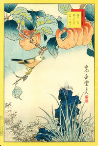 Sugakudo Nakayama Hokicho Bird, Apricot, Sekisho Grass - Panteek Antique Prints