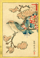 Sugakudo Nakayama Shrike, Oak, Winter Camellia - Panteek Antique Prints