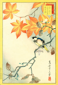 Sugakudo Nakayama Titmouse, Red Maple, Cherry - Panteek Antique Prints