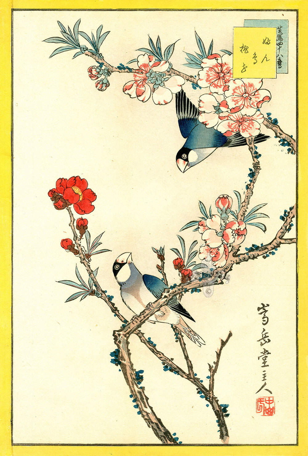 Sugakudo Nakayama Yoshikiri Bird, Finches, Peach Blossom