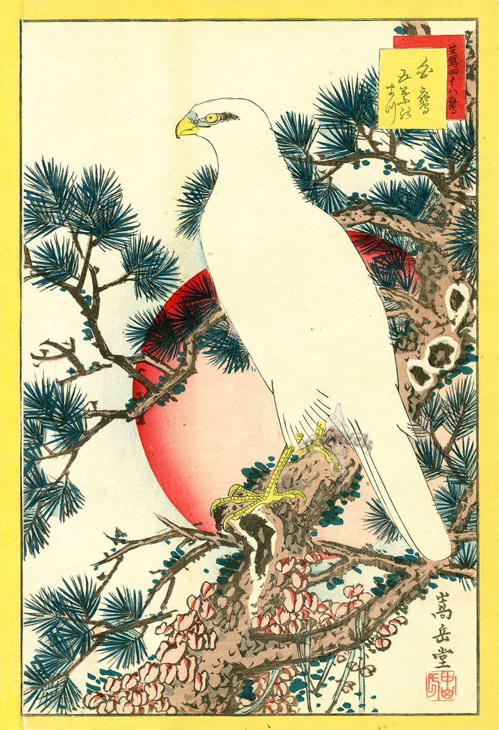 Sugakudo Nakayama Yoshikiri Bird, Hawk, White Pine