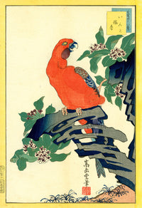 Sugakudo Nakayama Yoshikiri Bird, Macaw, Sweet Daphne - Panteek Antique Prints