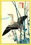 Sugakudo Nakayama Yoshikiri Bird, Snipe, Convolvulus - Panteek Antique Prints