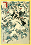 Sugakudo Nakayama Yoshikiri Bird, Striped Bulbul, Pine Tree - Panteek Antique Prints