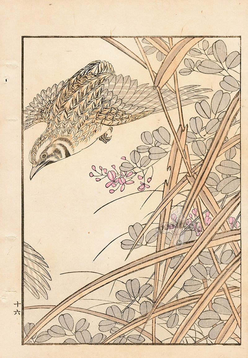 Tanaka Yohu Woodblock 1892 Bird Design