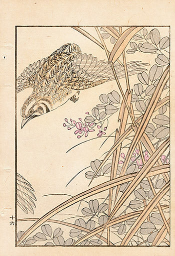 Tanaka Yohu Woodblock 1892 Bird Design