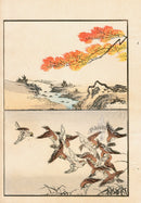 Tanaka Yohu Woodblock 1892 Bird Flock - Panteek Antique Prints