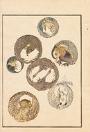 Tanaka Yohu Woodblock 1892 Birds, Owl Crane Eagle - Panteek Antique Prints