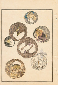 Tanaka Yohu Woodblock 1892 Birds, Owl Crane Eagle - Panteek Antique Prints