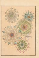 Tanaka Yohu Woodblock 1892 Five Flowers - Panteek Antique Prints
