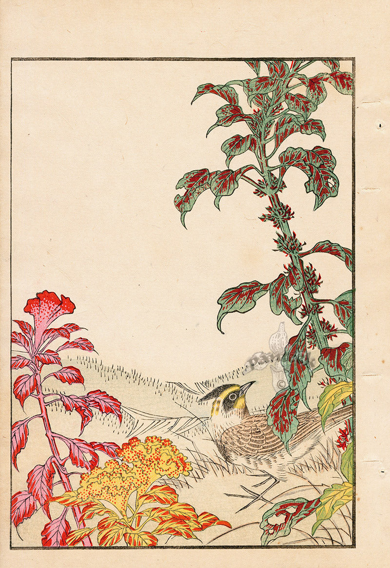 Tanaka Yohu Woodblock 1892 Floral Design, Bird