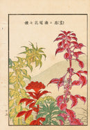 Tanaka Yohu Woodblock 1892 Floral Design, Hill - Panteek Antique Prints
