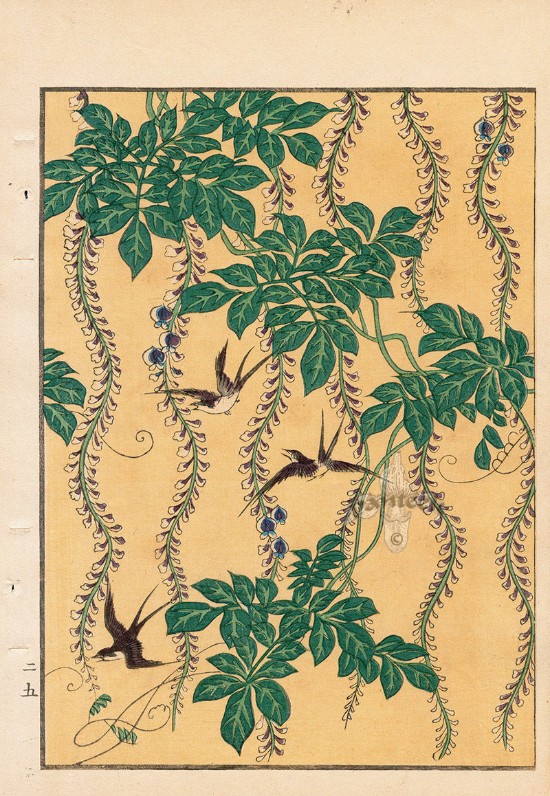 Tanaka Yohu Woodblock 1892 Floral Design, Wisteria Birds