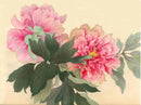 Tanigami Konan Peony Series 2 Pink Flowers - Panteek Antique Prints