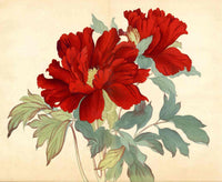 Tanigami Konan Peony Series 2 Red Flowers - Panteek Antique Prints