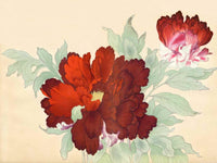 Tanigami Konan Peony Series Deep Red Flower - Panteek Antique Prints