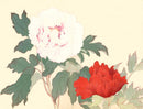 Tanigami Konan Peony Series Pink, Red Flowers - Panteek Antique Prints