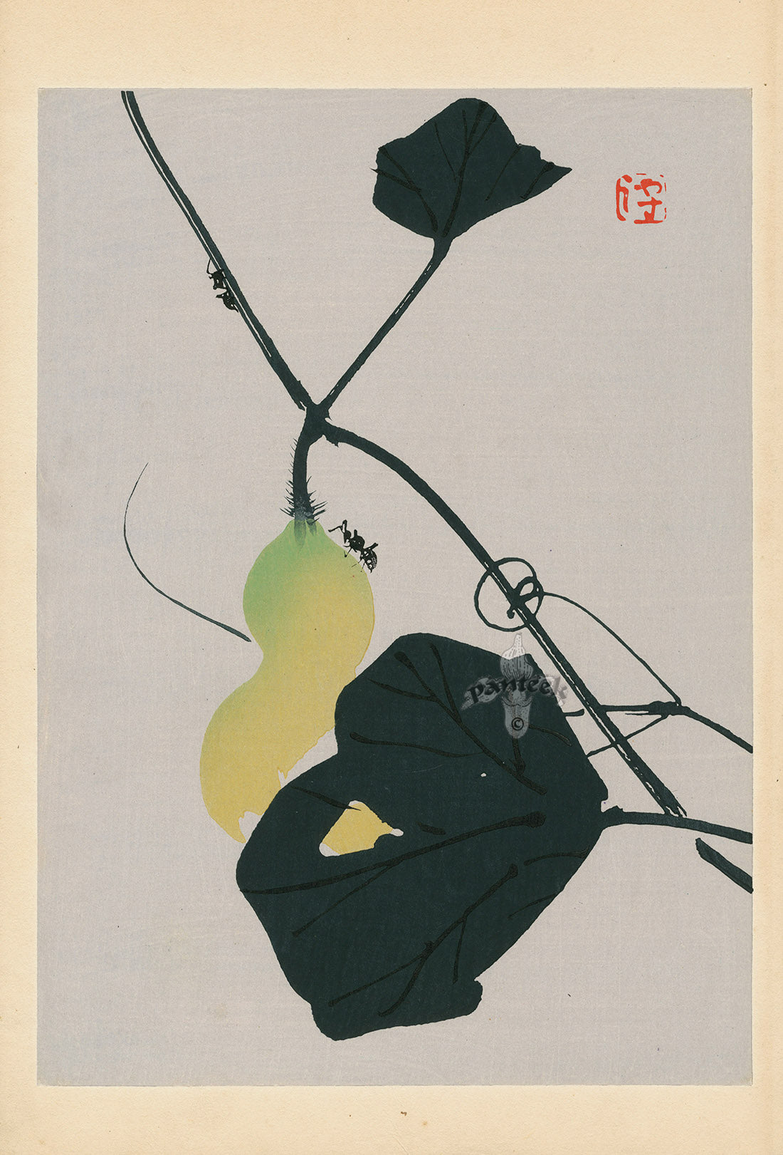 Tansai Gafu Design Book Ants on Gourd