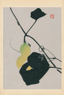 Tansai Gafu Design Book Ants on Gourd - Panteek Antique Prints