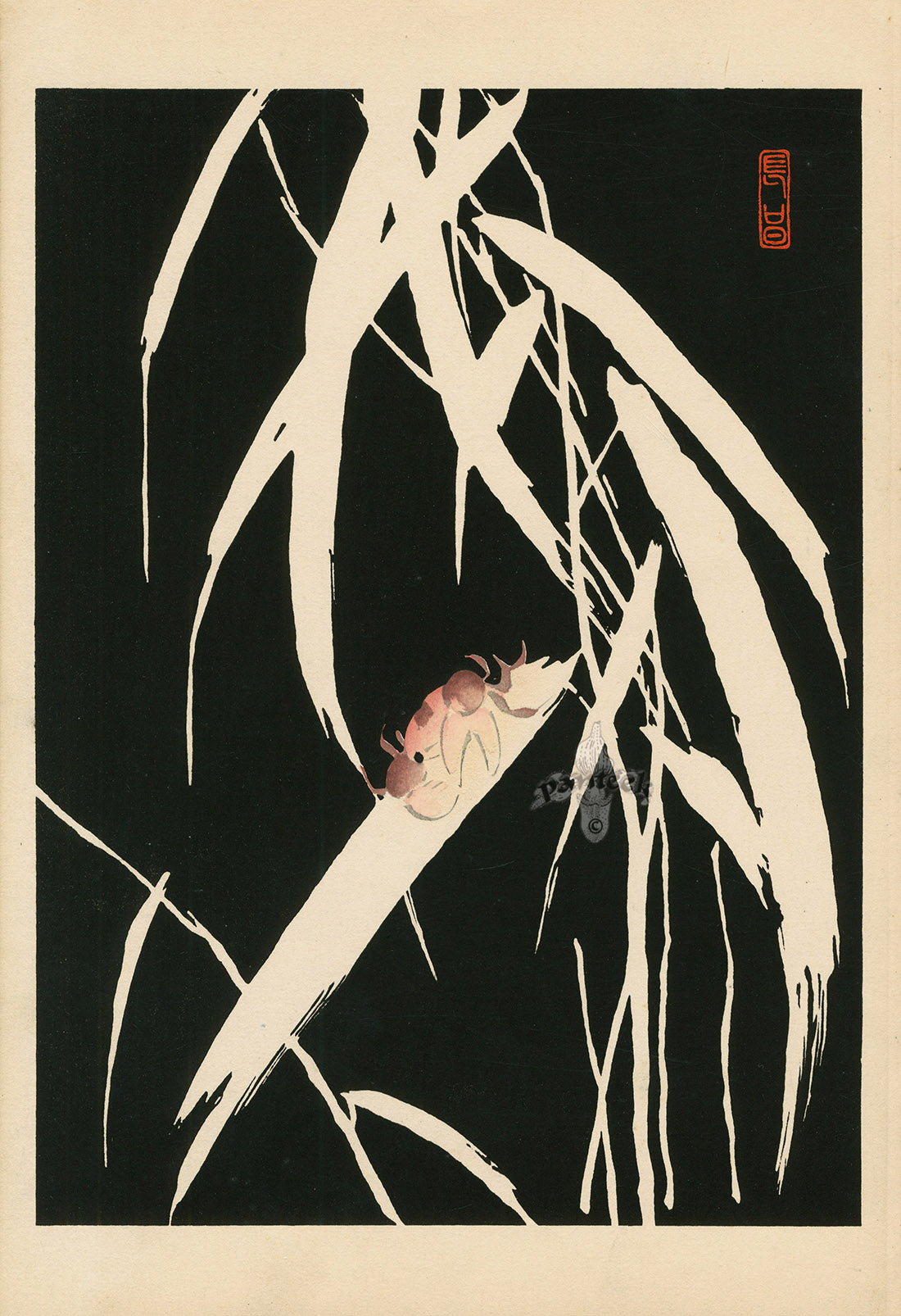 Tansai Gafu Design Book Crab, White Rushes