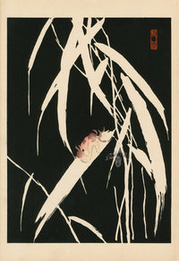 Tansai Gafu Design Book Crab, White Rushes - Panteek Antique Prints