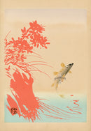 Tansai Gafu Design Book Leaping Trout Fish - Panteek Antique Prints